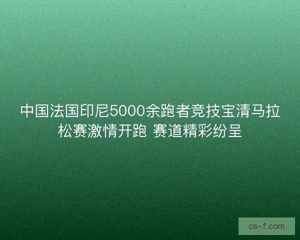 中国法国印尼5000余跑者竞技宝清马拉松赛激情开跑 赛道精彩纷呈