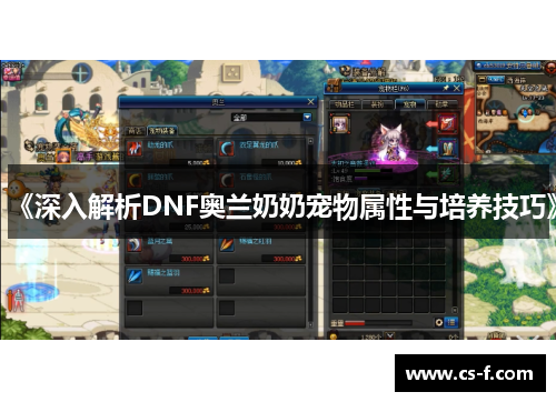 《深入解析DNF奥兰奶奶宠物属性与培养技巧》